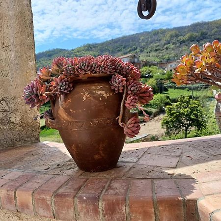 Country House B&B Antica Dimora Del Sole Camerota Luaran gambar