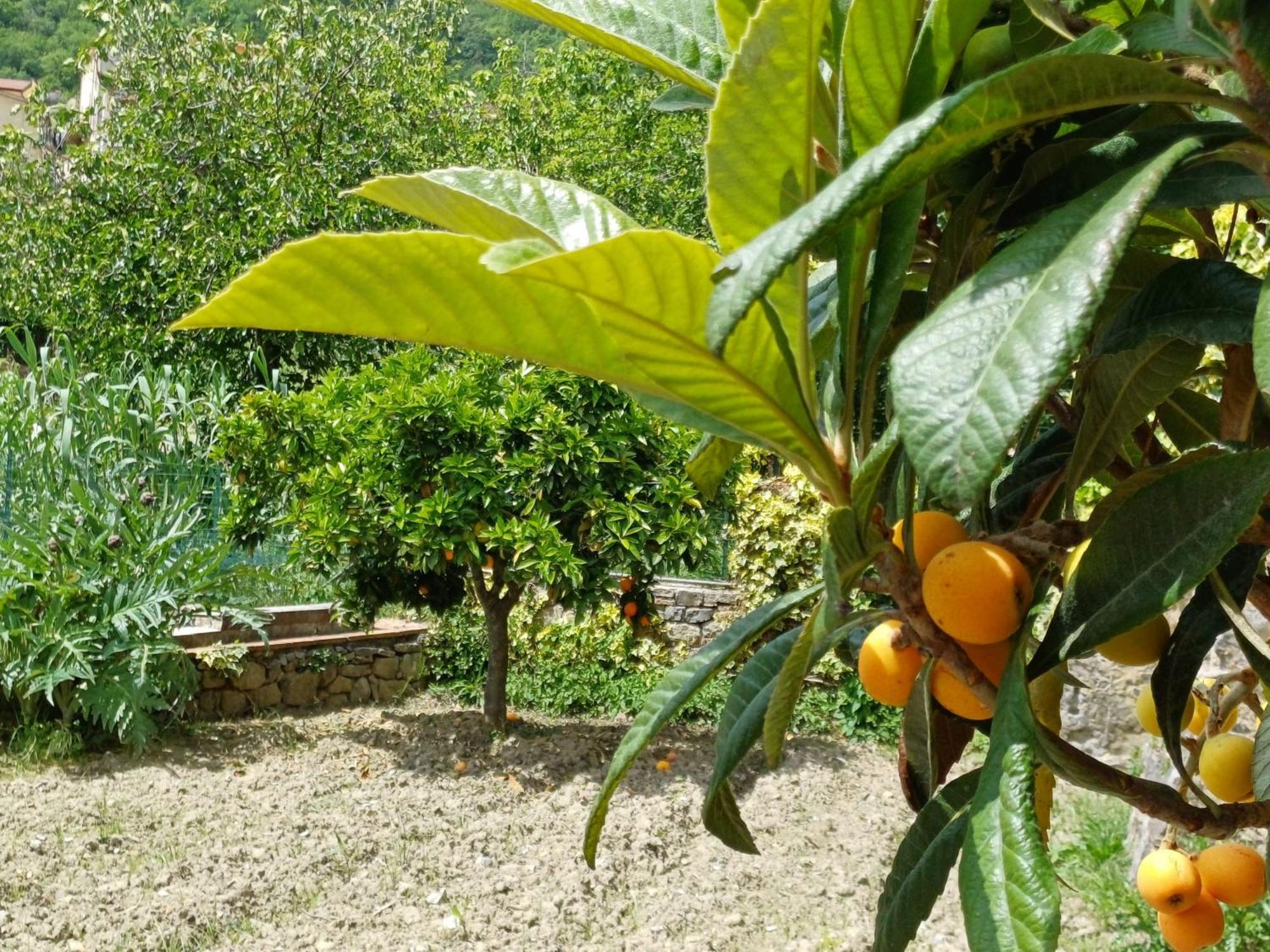 Country House B&B Antica Dimora Del Sole Camerota Luaran gambar