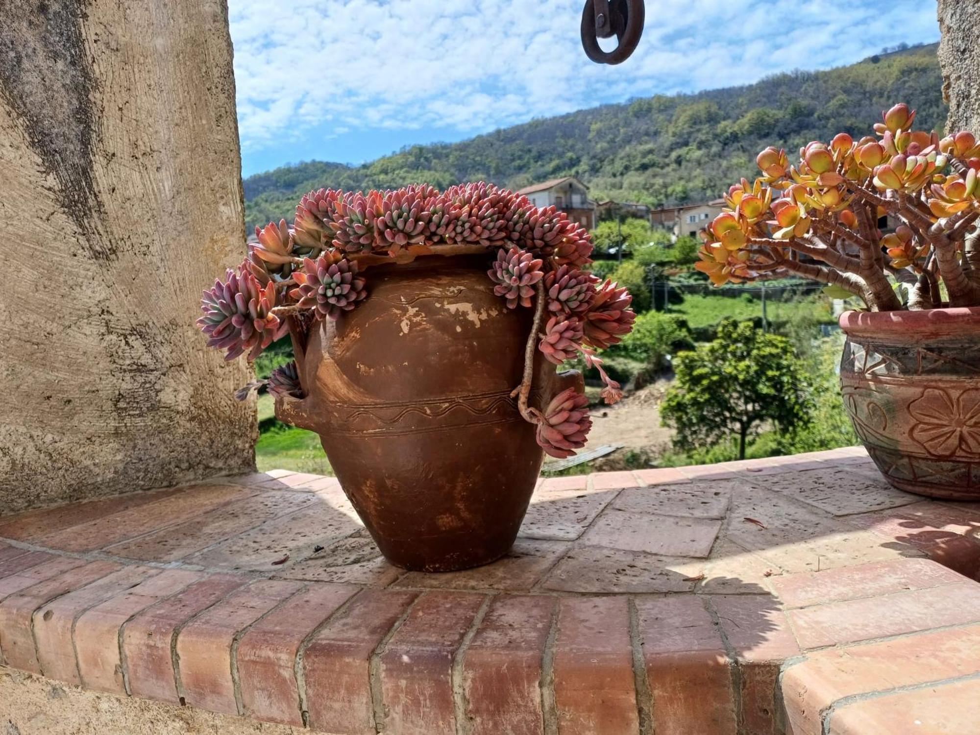 Country House B&B Antica Dimora Del Sole Camerota Luaran gambar