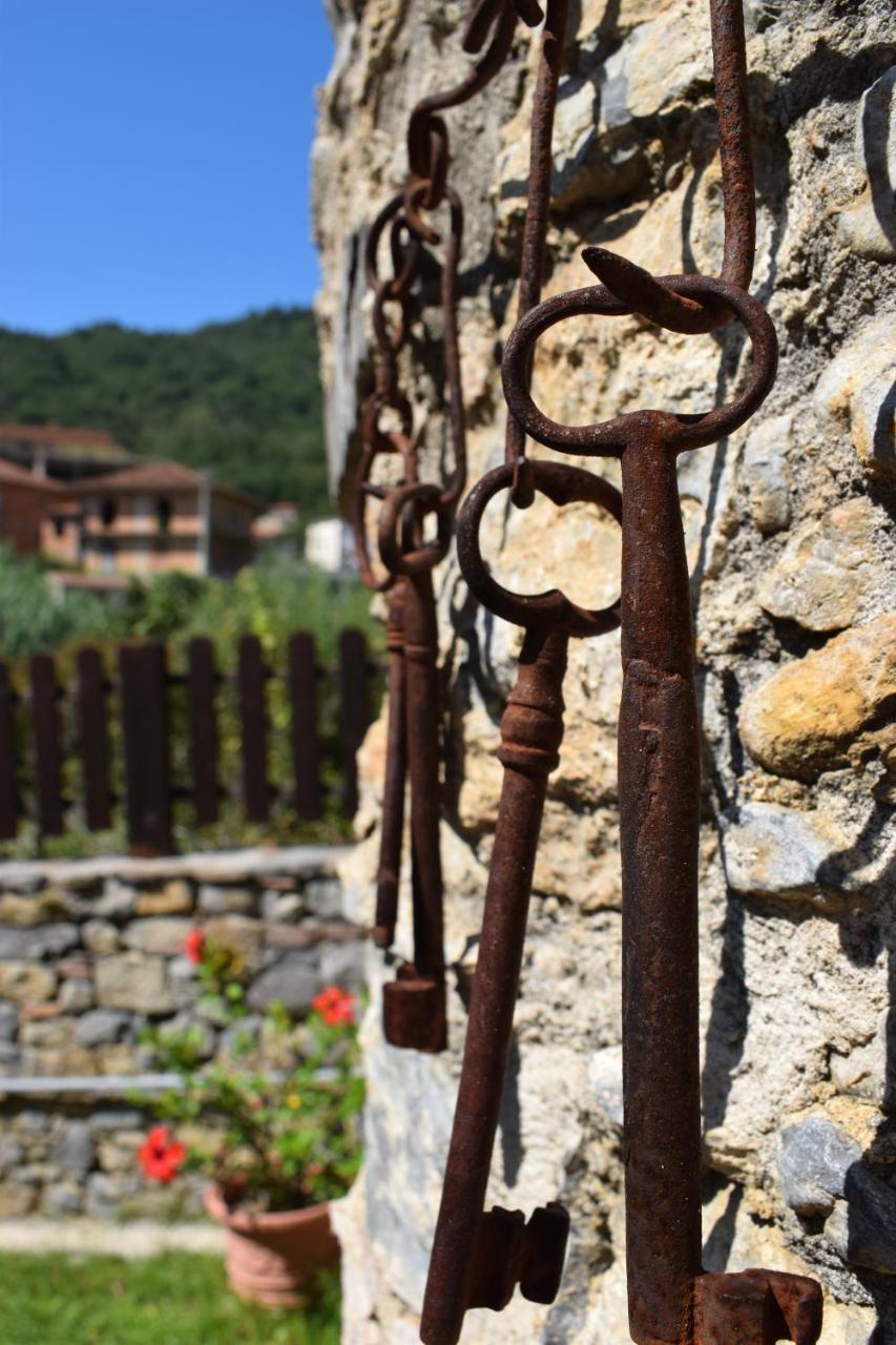 Country House B&B Antica Dimora Del Sole Camerota Luaran gambar